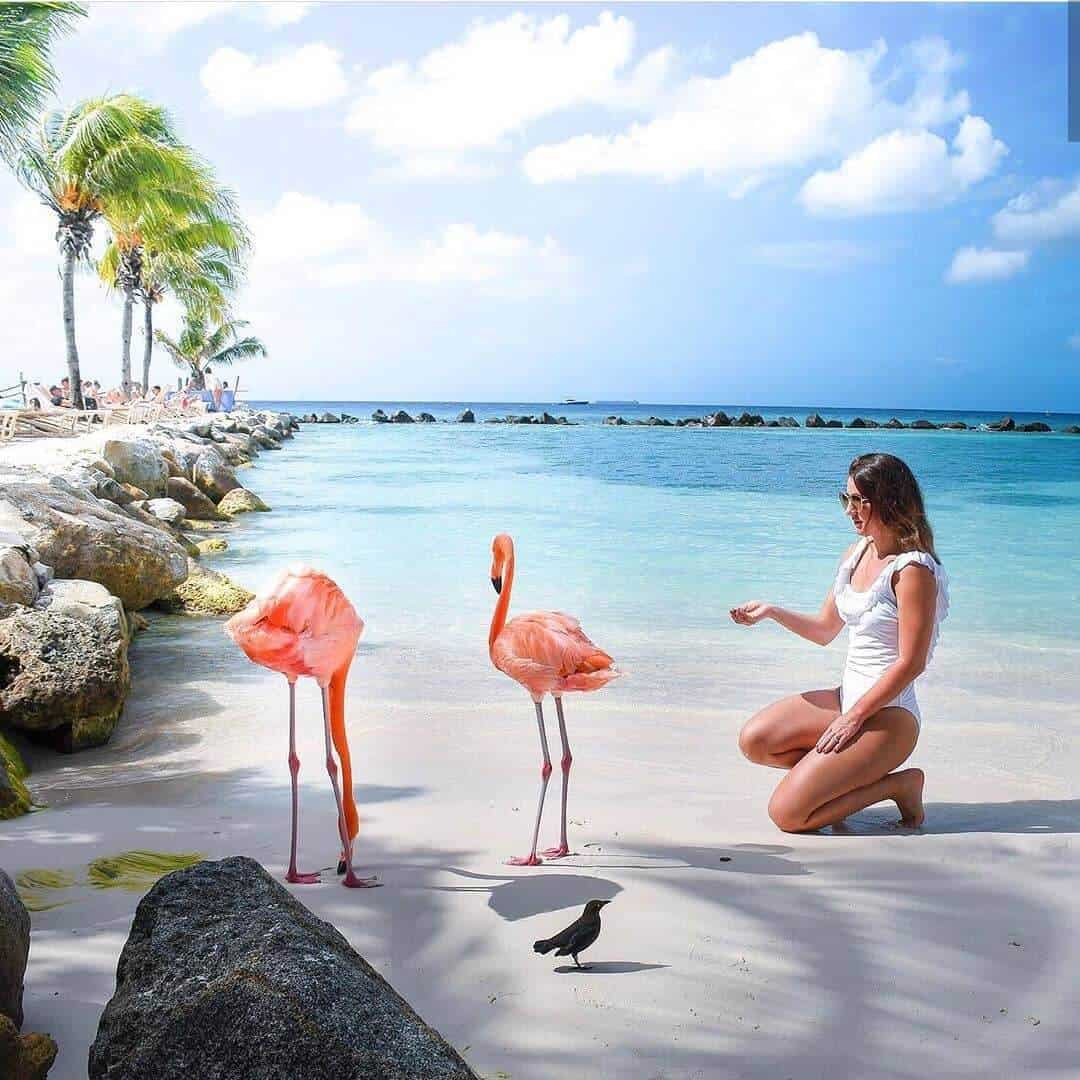Qué hacer en Aruba: Flamingo beach