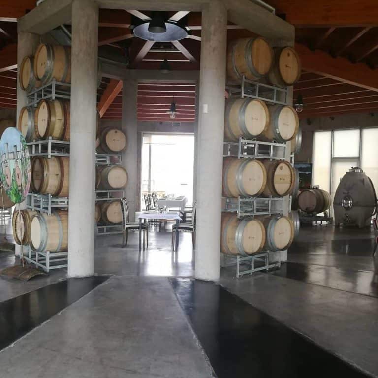 Las Mejores Bodegas De Mendoza Para Visitar