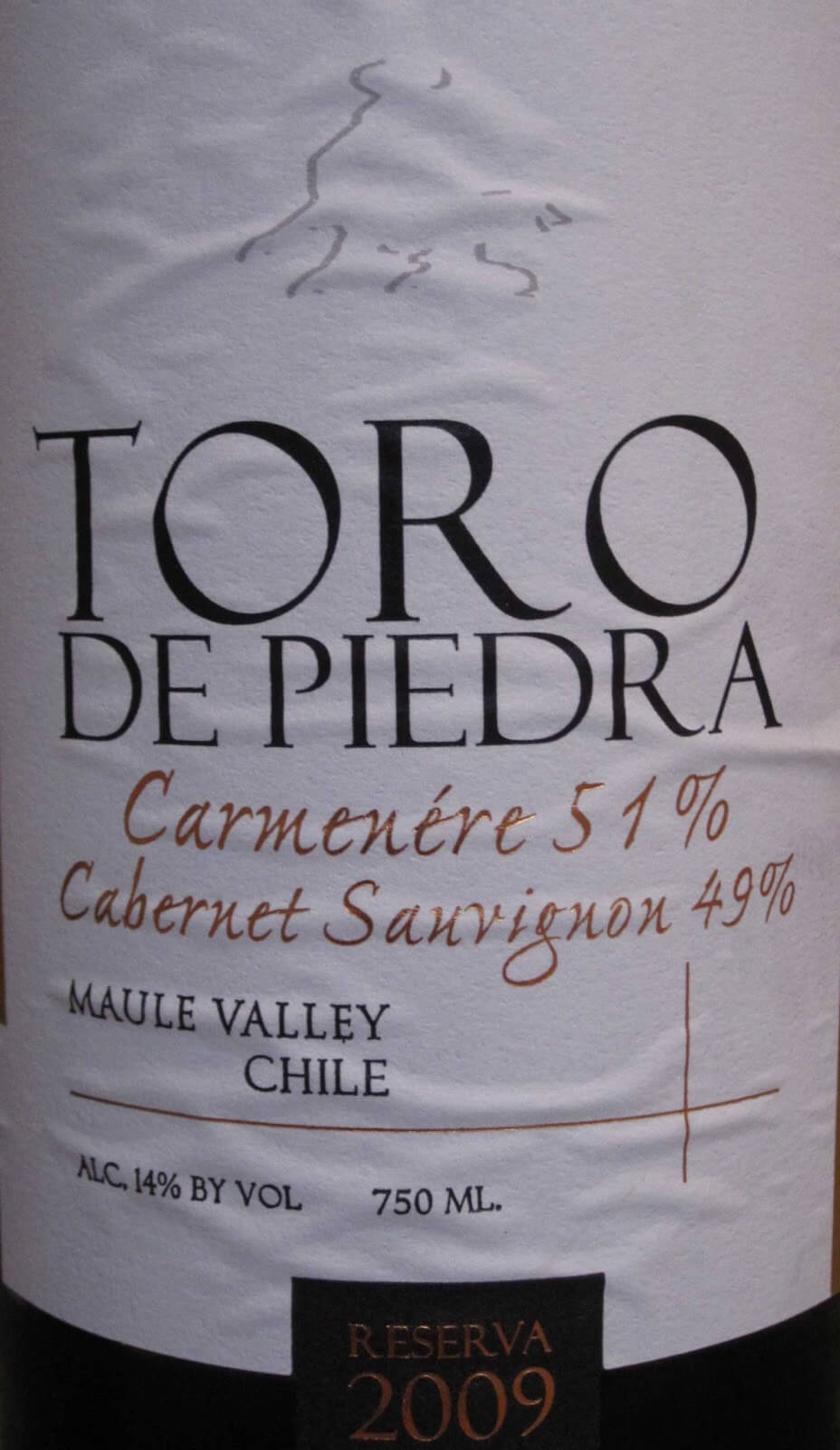 La ruta del vino en Chile

