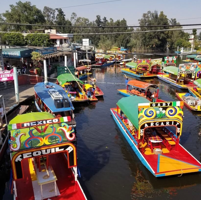 Excursiones para hacer fuera de la ciudad de México: Canales de Xochimilco