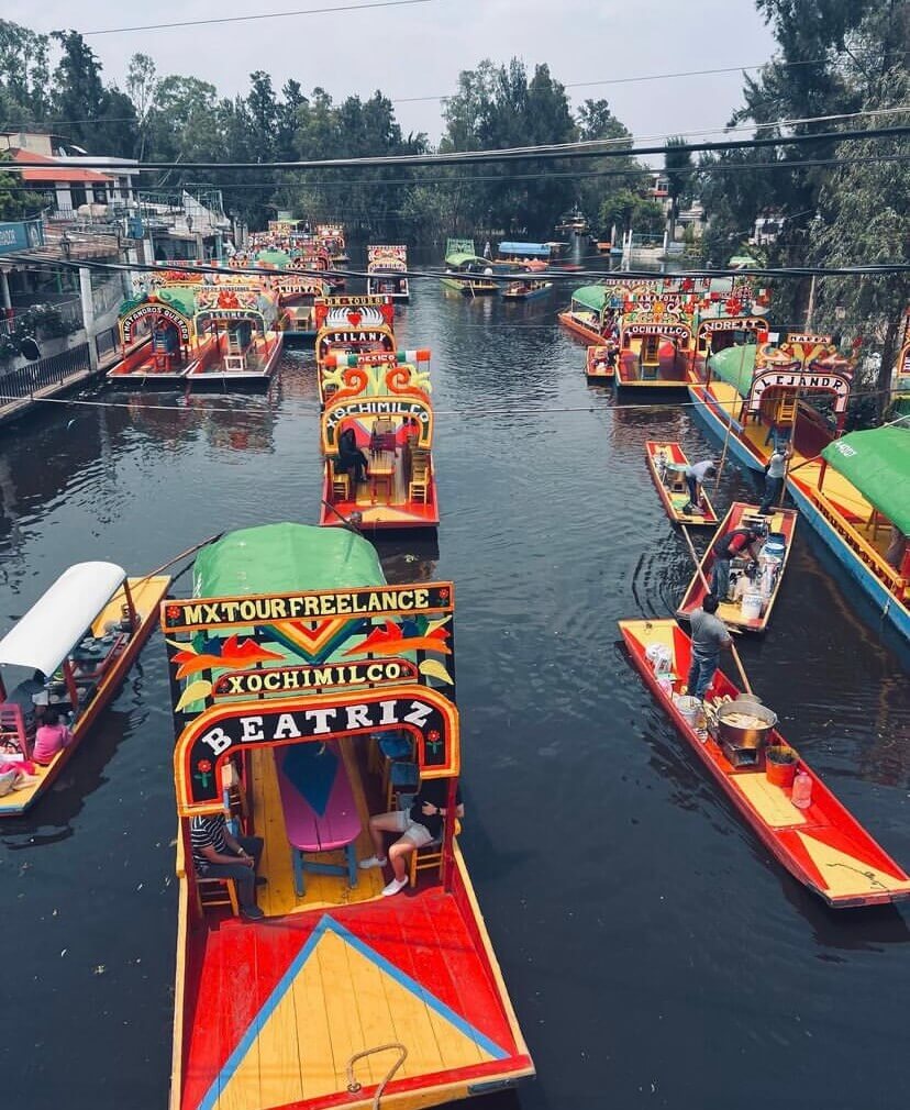 Qué hacer en Xochimilco; un paseo en trajinera con tragos y mariachis