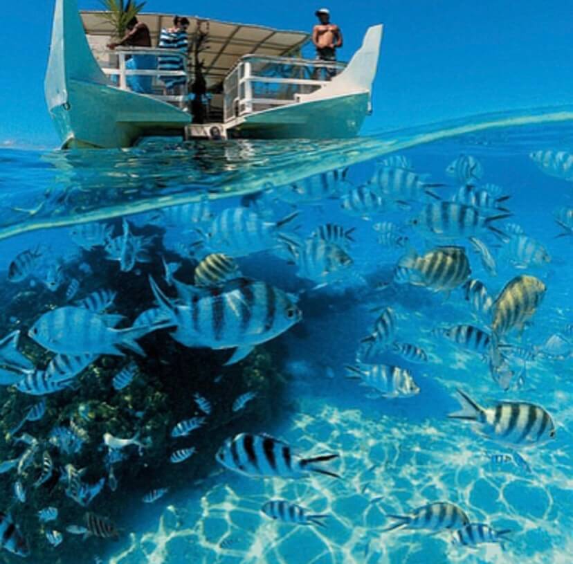 Qué hacer en Bora Bora: actividades submarinas