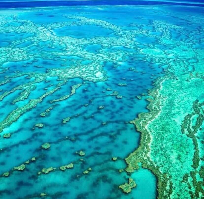 Australia, Oceanía: Gran Barrera de Coral