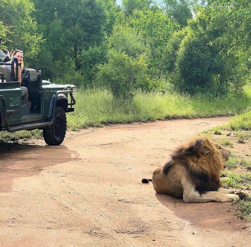 Safari en Sudáfrica