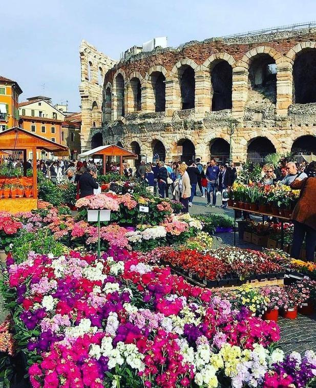 Arena de Verona