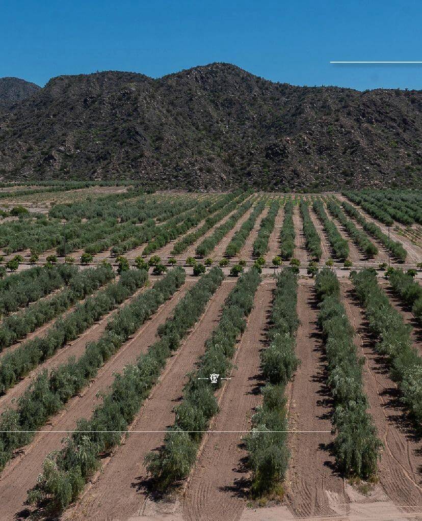 Valle de Chilecito, La Rioja