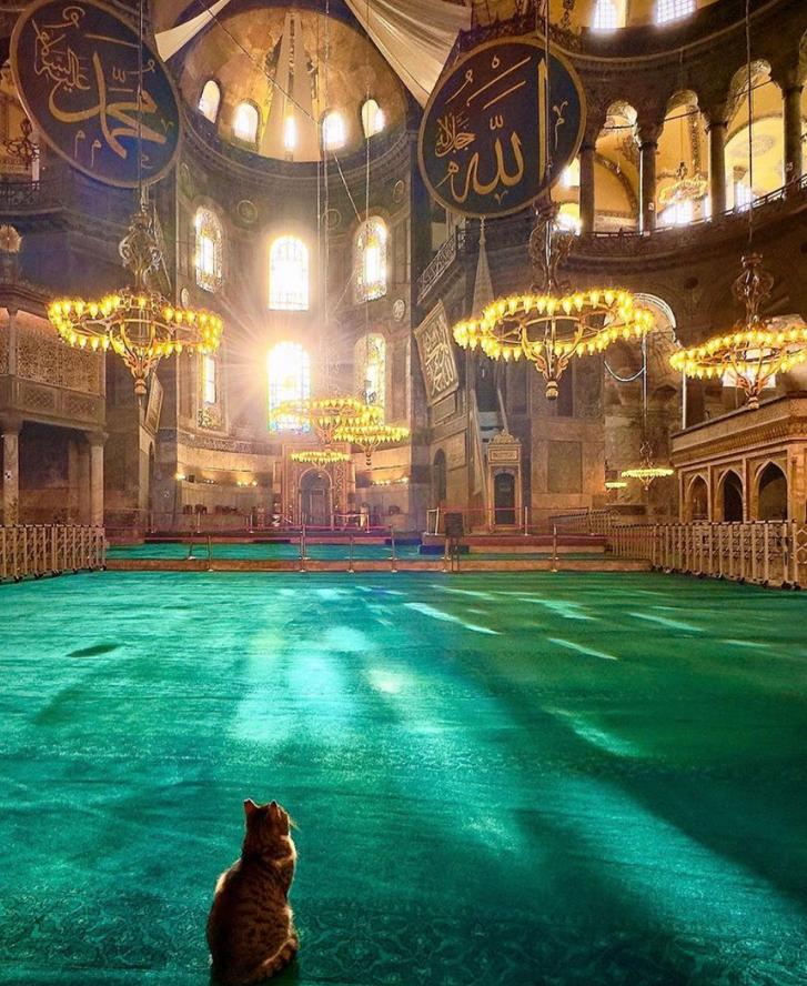 Mezquita Hagia Sophia