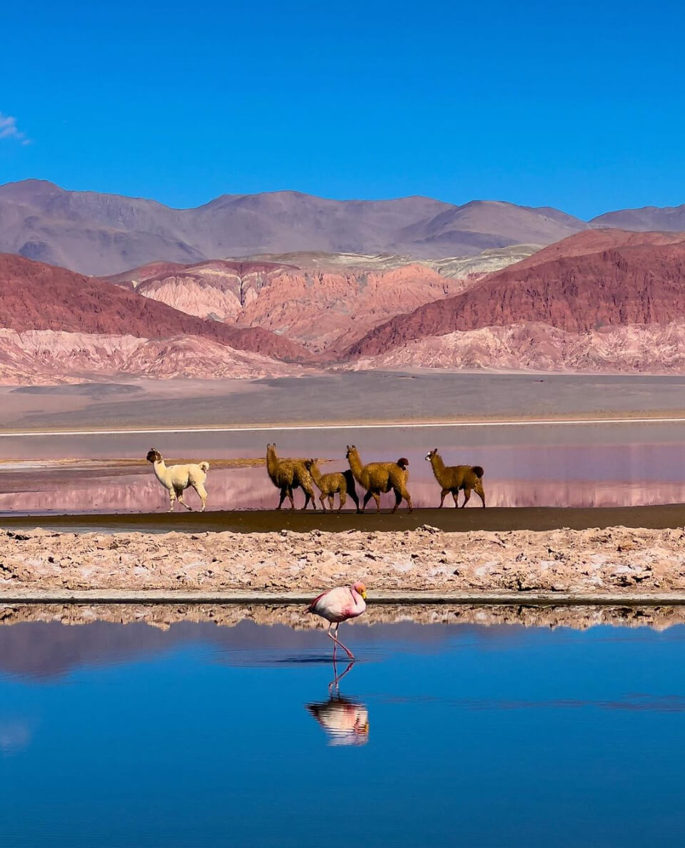 Catamarca en Argertina