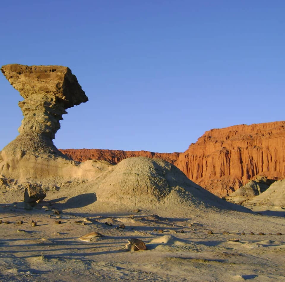 El Hongo en el Parque Provincial Ischigualasto