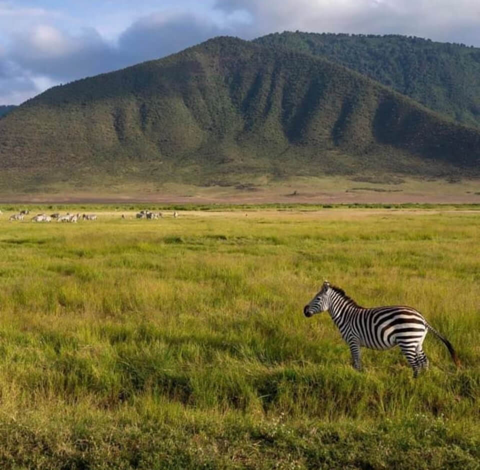 El Cráter del Ngorongoro, en Tanzania