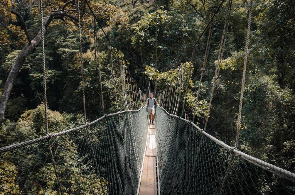 Qué hacer en Malasia: visitar el Parque Nacional Taman Negara 