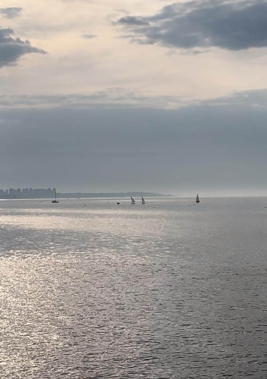 Río de la Plata en Costanera Norte