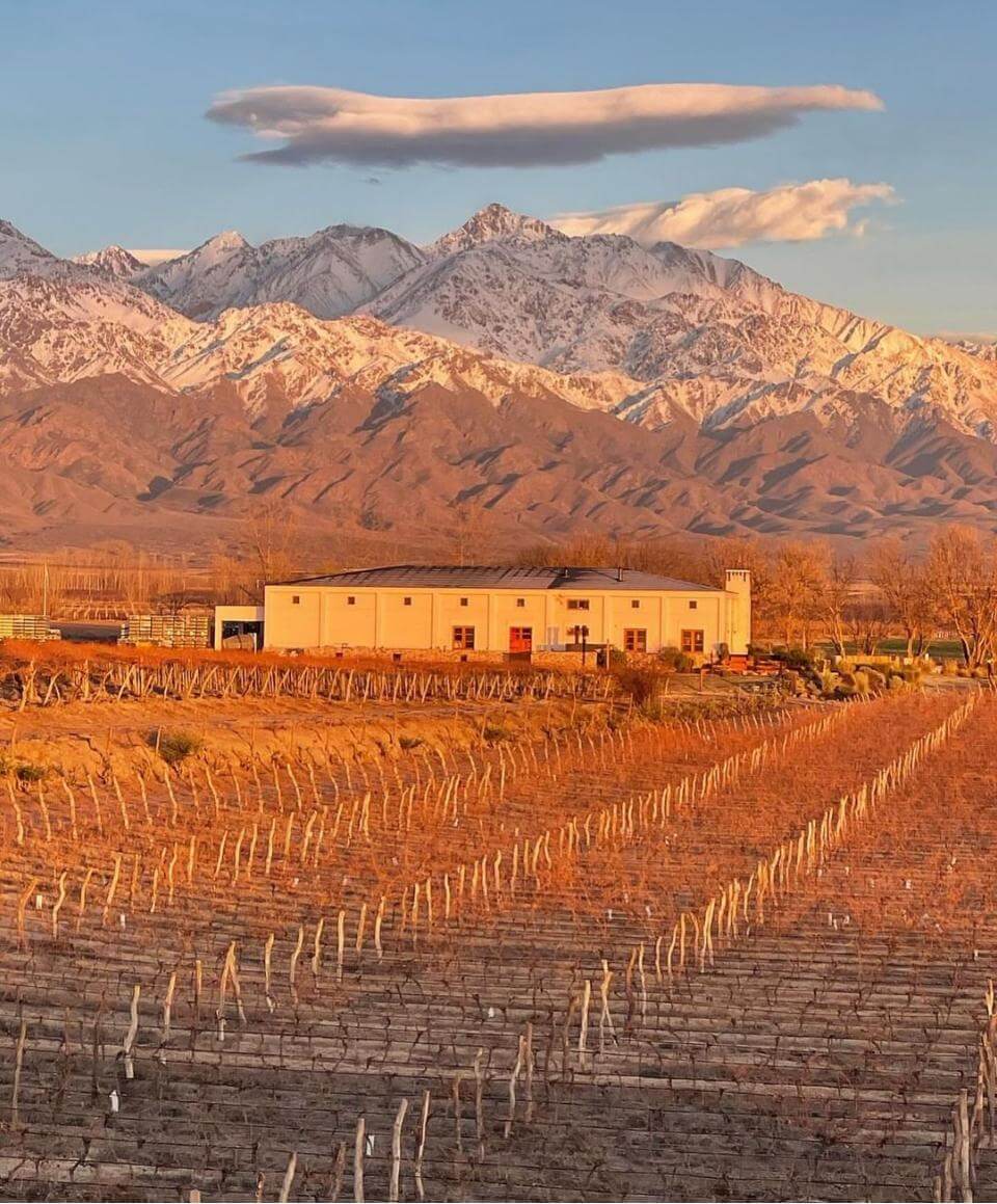 Bodegas de San Juan