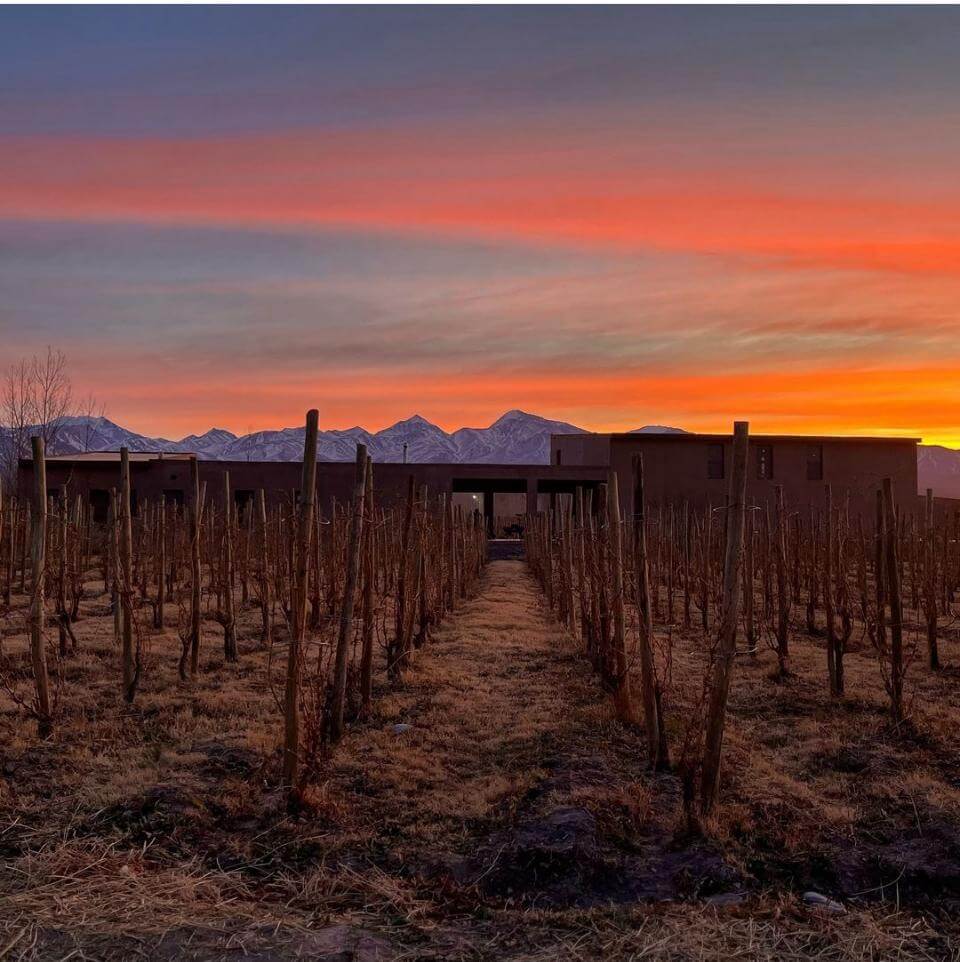 Ruta del vino en San Juan: Barreal