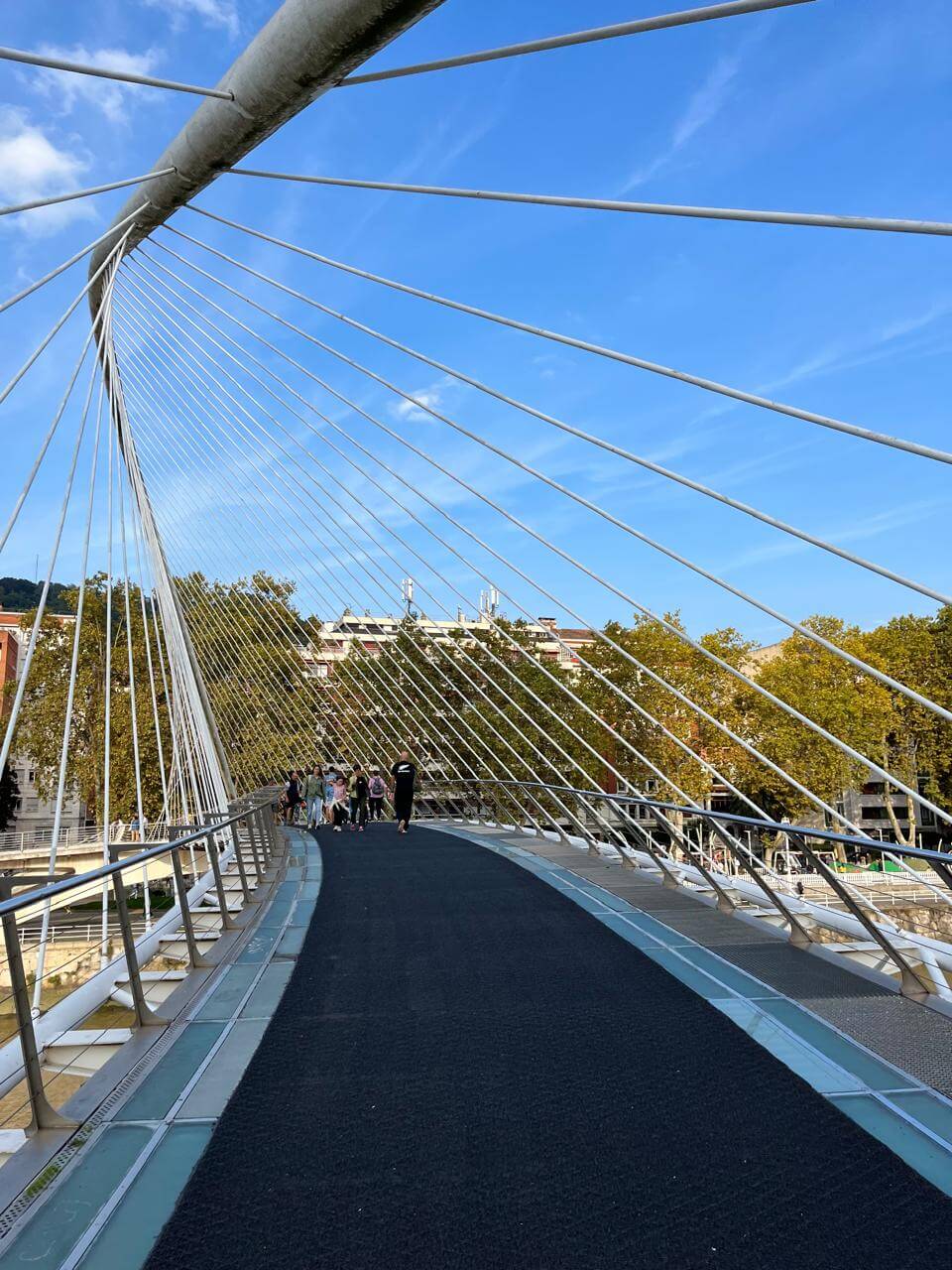 Puente Zubizuri, diseñado por Santiago Calatrava