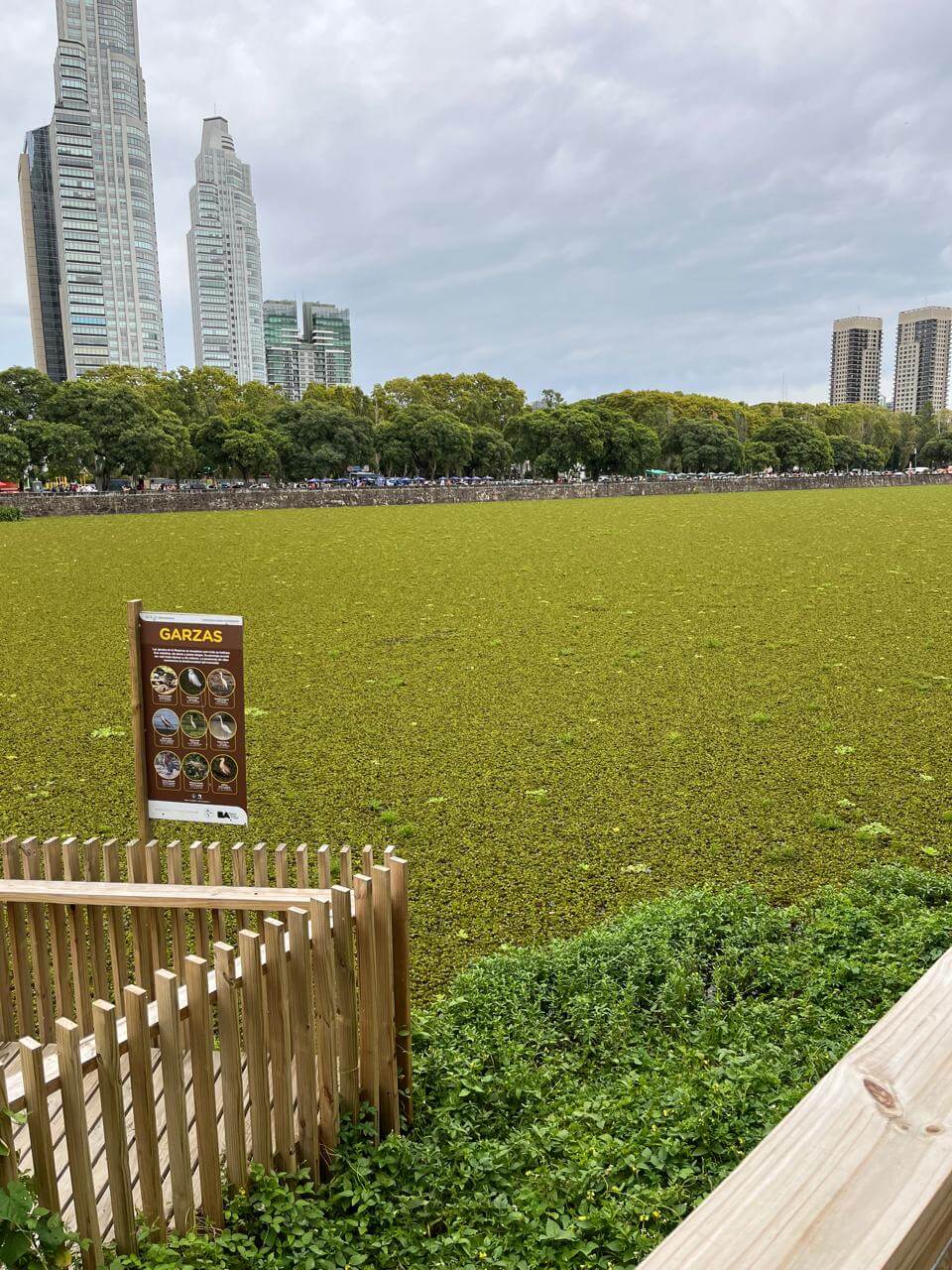 Reserva Ecológica Costanera Sur