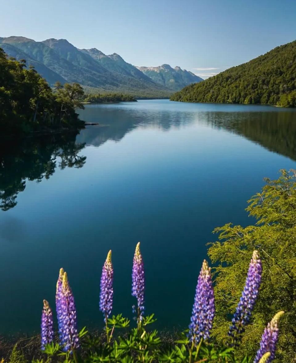 Ruta de los 7 lagos, desde Bariloche