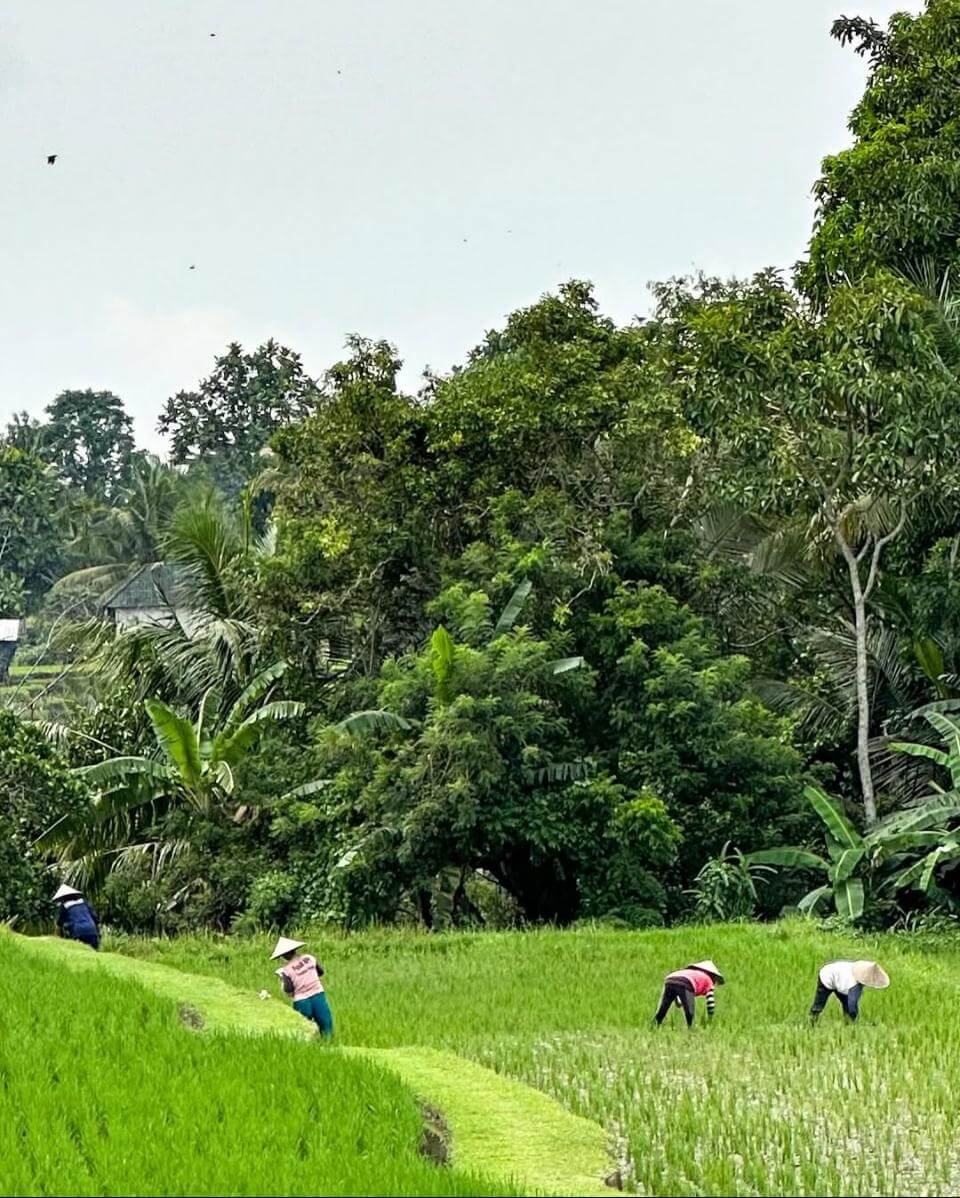 Bali, la isla de los dioses