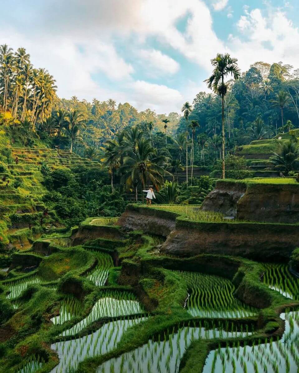 Terrazas de Tegallaland en Bali