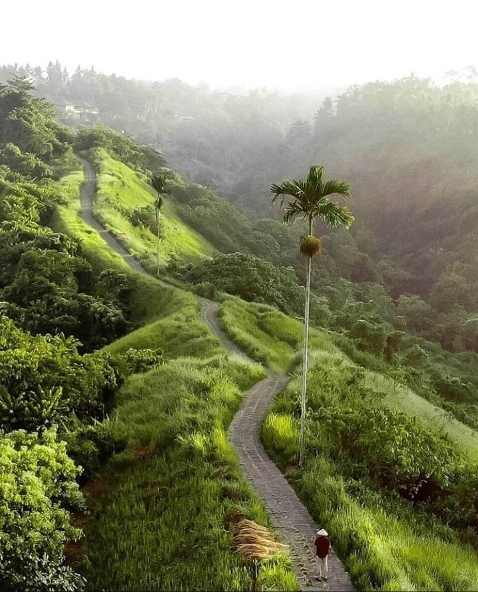 Senda de Campuhan (Campuhan Ridge Walk)