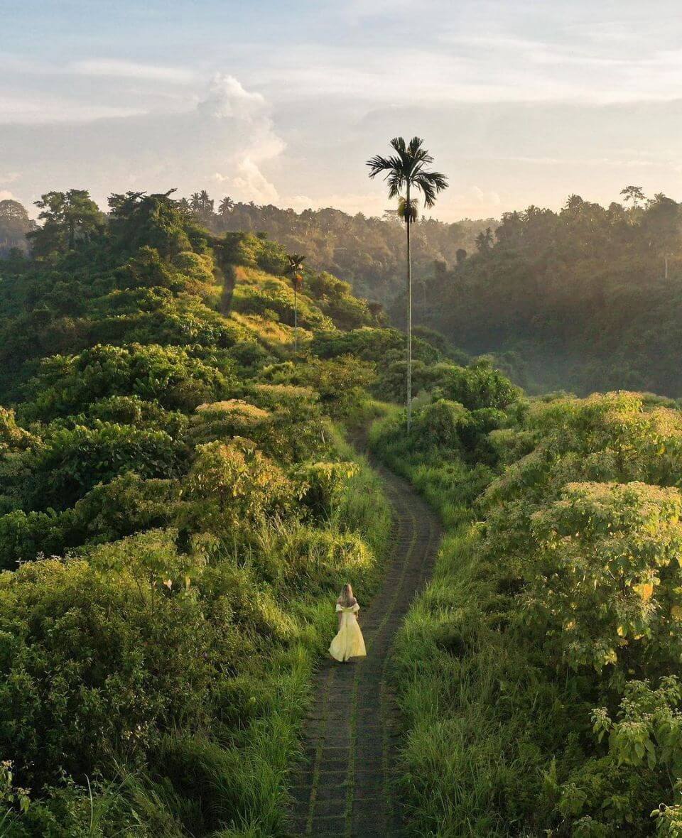 Lo mejor de Bali: caminar el Campuhan Ridge Walk