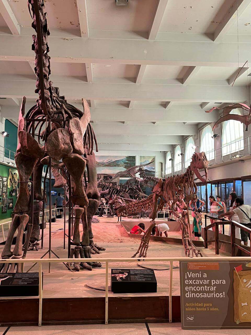 Museo de Ciencias Naturales