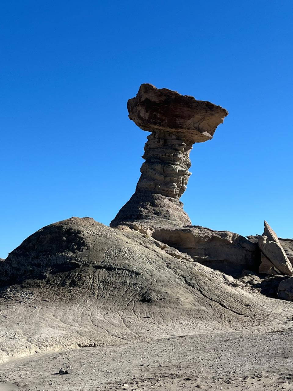 El Hongo, uno de los iconos de Ischigualasto