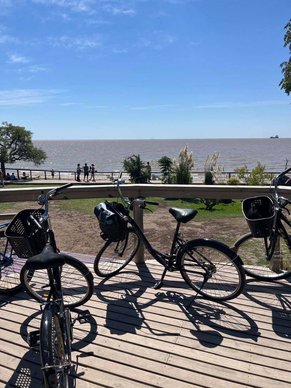 Qué hacer en vacaciones de julio en Buenos Aires: andar en bicicleta en la Reserva Ecológica Costanera Sur
