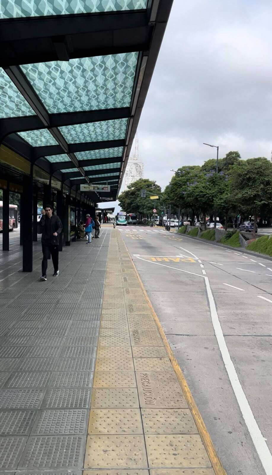 Cómo moverse en Buenos Aires: Metrobus