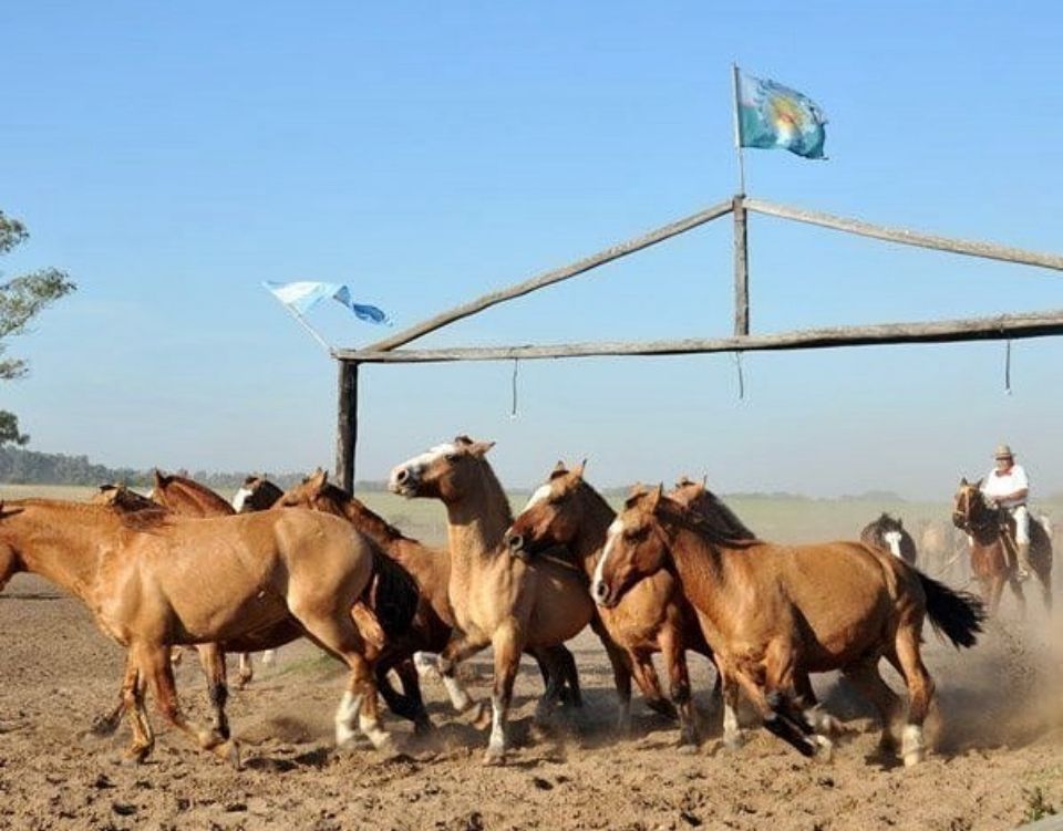 Fiesta gaucha en la Pampa argentina