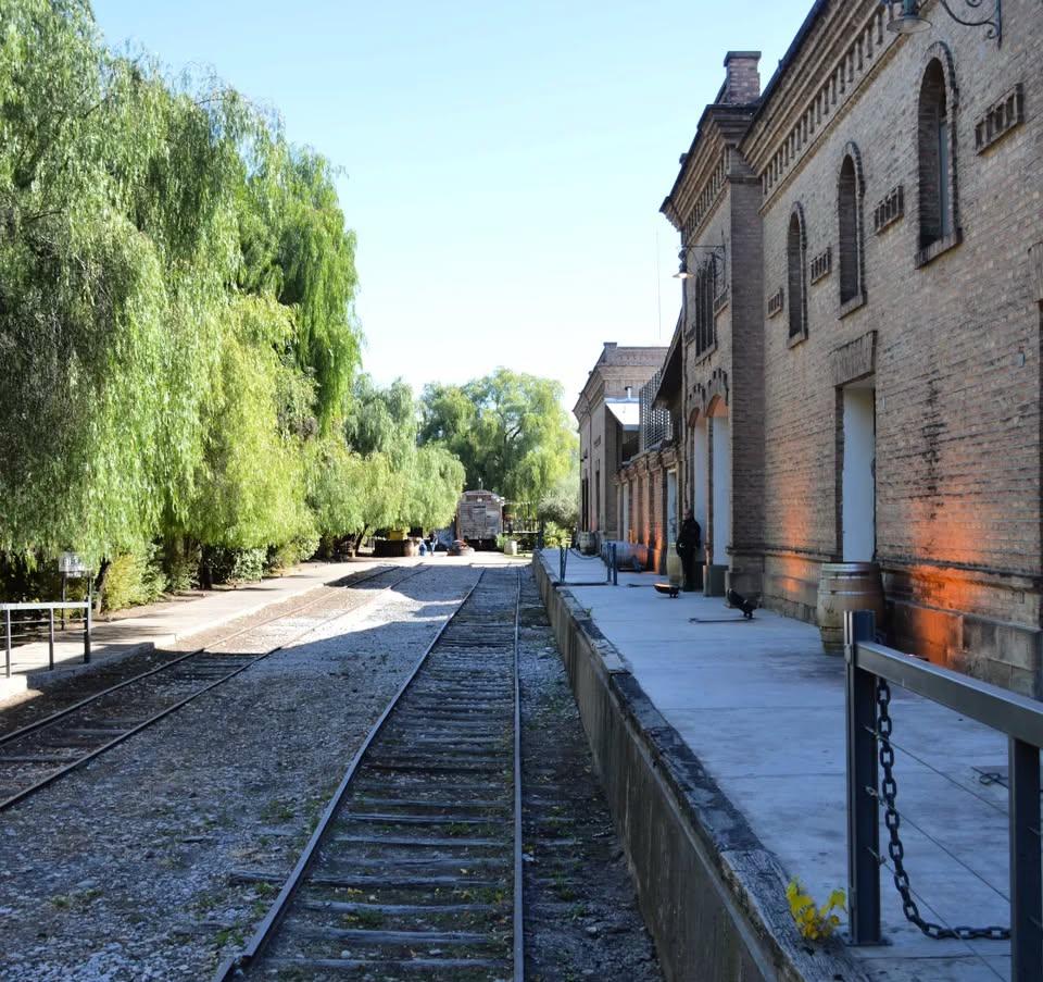 Bodegas en Maipú: Trapiche
