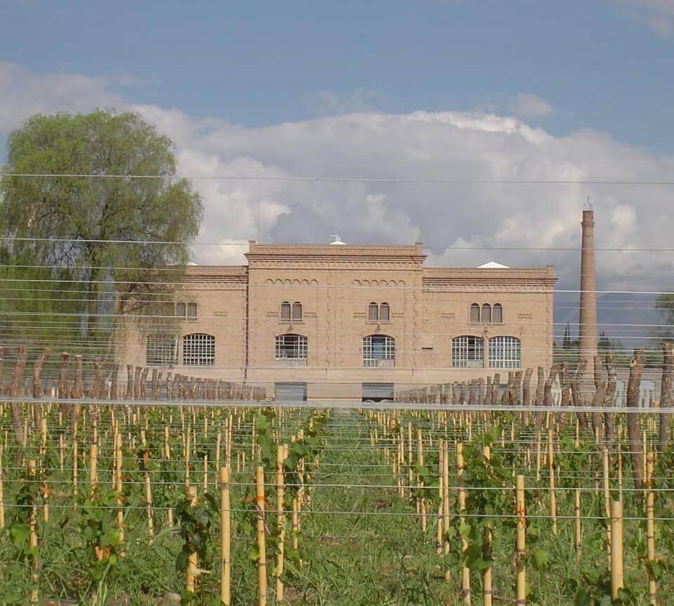 Bodega Trapiche, Maipú, Mendoza