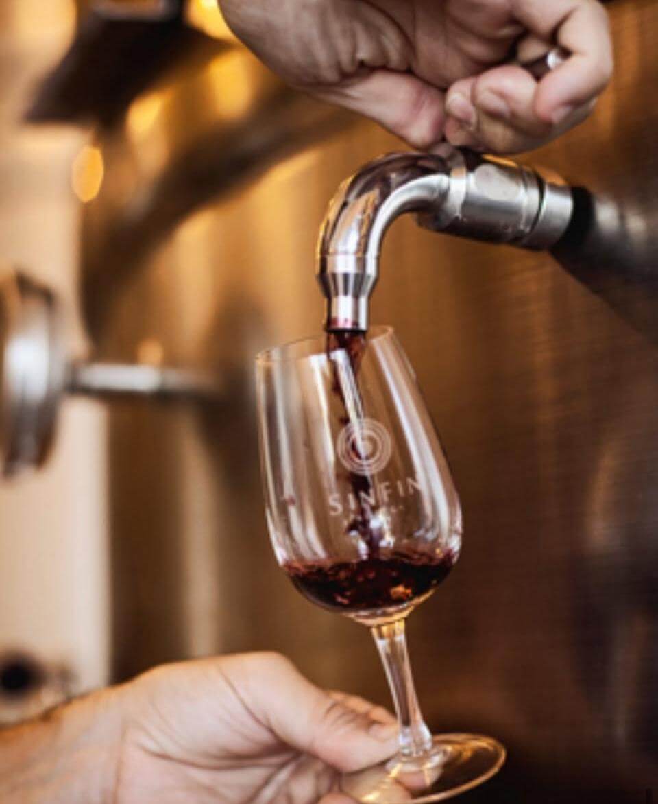 Explorando Maipú, la cuna del vino